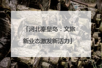 河北秦皇岛：文旅新业态激发新活力