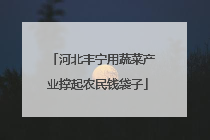 河北丰宁用蔬菜产业撑起农民钱袋子