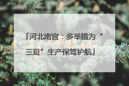 河北南宫：多举措为“三夏”生产保驾护航