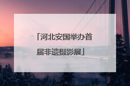 河北安国举办首届非遗摄影展