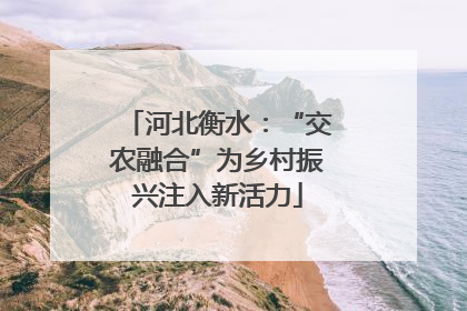 河北衡水：“交农融合”为乡村振兴注入新活力
