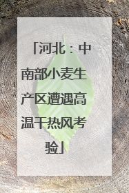 河北：中南部小麦生产区遭遇高温干热风考验