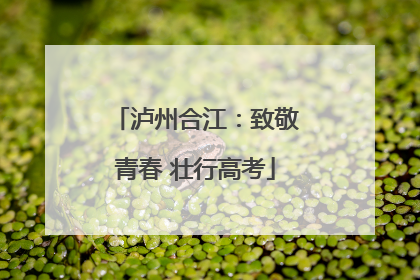 泸州合江：致敬青春 壮行高考