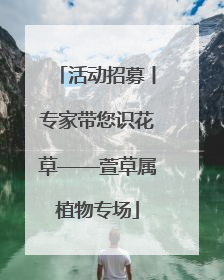 活动招募丨专家带您识花草——萱草属植物专场