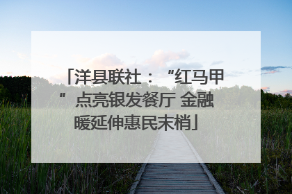 洋县联社：“红马甲”点亮银发餐厅 金融暖延伸惠民末梢