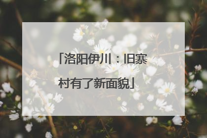 洛阳伊川：旧寨村有了新面貌