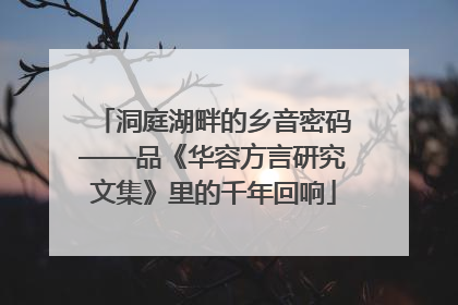 洞庭湖畔的乡音密码——品《华容方言研究文集》里的千年回响