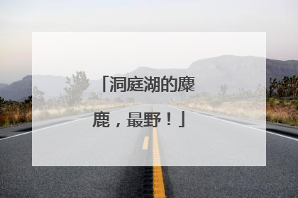 洞庭湖的麋鹿，最野！