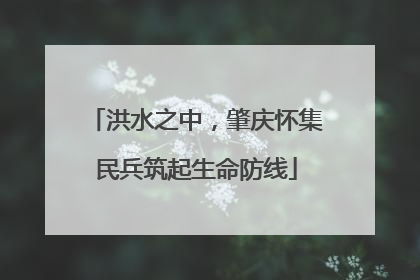 洪水之中，肇庆怀集民兵筑起生命防线