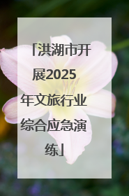 洪湖市开展2025年文旅行业综合应急演练