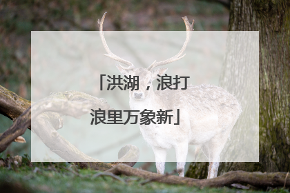 洪湖，浪打浪里万象新