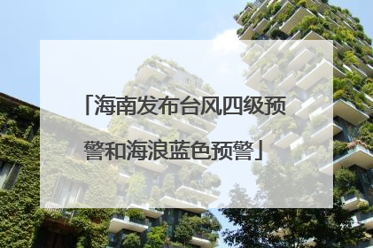 海南发布台风四级预警和海浪蓝色预警