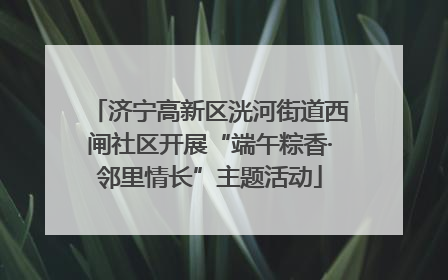 济宁高新区洸河街道西闸社区开展“端午粽香·邻里情长”主题活动