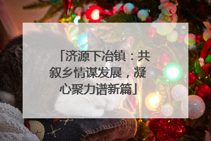 济源下冶镇：共叙乡情谋发展，凝心聚力谱新篇