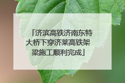 济滨高铁济南东特大桥下穿济莱高铁架梁施工顺利完成