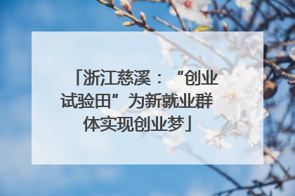 浙江慈溪：“创业试验田”为新就业群体实现创业梦