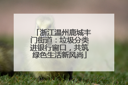 浙江温州鹿城丰门街道：垃圾分类进银行窗口，共筑绿色生活新风尚
