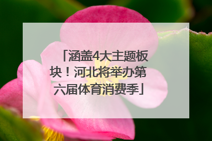 涵盖4大主题板块！河北将举办第六届体育消费季
