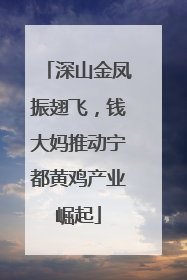 深山金凤振翅飞，钱大妈推动宁都黄鸡产业崛起