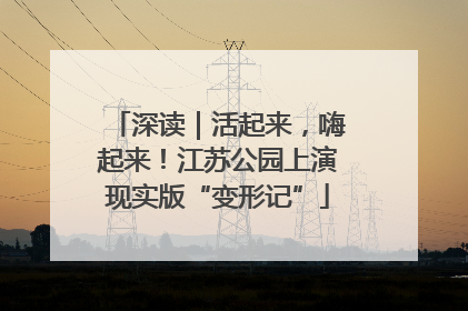 深读｜活起来，嗨起来！江苏公园上演现实版“变形记”