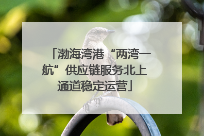 渤海湾港“两湾一航”供应链服务北上通道稳定运营