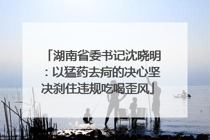 湖南省委书记沈晓明：以猛药去疴的决心坚决刹住违规吃喝歪风