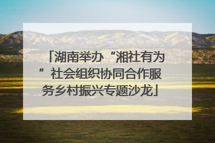 湖南举办“湘社有为”社会组织协同合作服务乡村振兴专题沙龙