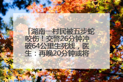 湖南一村民被五步蛇咬伤！交警26分钟冲破64公里生死线，医生：再晚20分钟或将呼吸肌麻痹