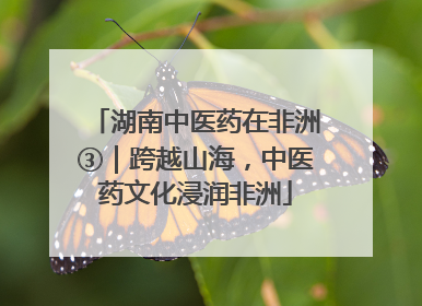 湖南中医药在非洲③｜跨越山海，中医药文化浸润非洲