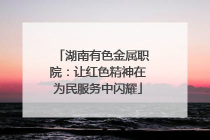 湖南有色金属职院：让红色精神在为民服务中闪耀