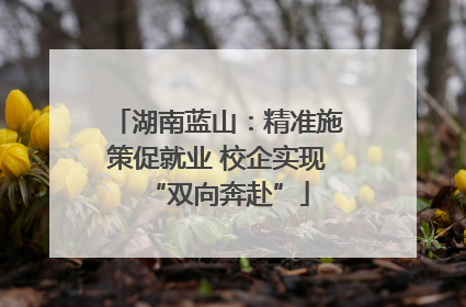湖南蓝山：精准施策促就业 校企实现“双向奔赴”