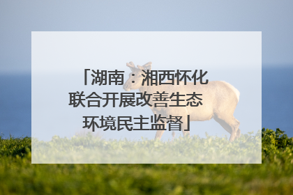 湖南：湘西怀化联合开展改善生态环境民主监督