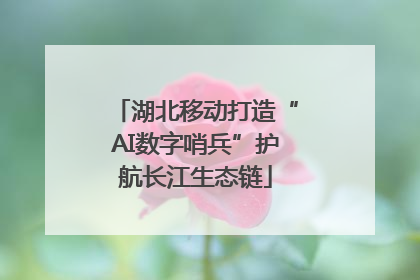 湖北移动打造“AI数字哨兵”护航长江生态链