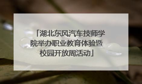 湖北东风汽车技师学院举办职业教育体验暨校园开放周活动
