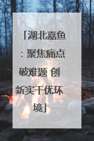 湖北嘉鱼：聚焦痛点破难题 创新实干优环境