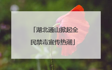 湖北通山掀起全民禁毒宣传热潮