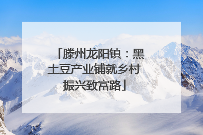 滕州龙阳镇：黑土豆产业铺就乡村振兴致富路