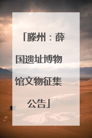 滕州：薛国遗址博物馆文物征集公告