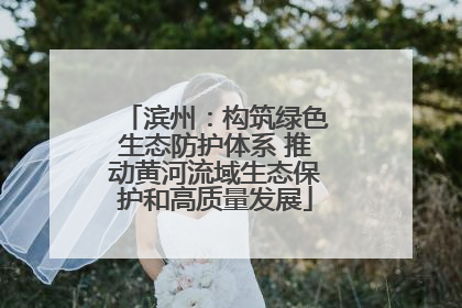 滨州：构筑绿色生态防护体系 推动黄河流域生态保护和高质量发展