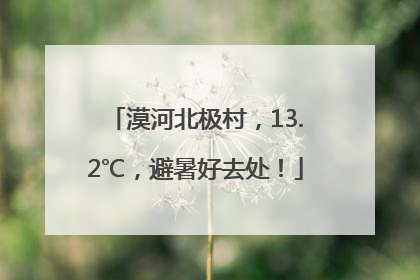 漠河北极村，13.2℃，避暑好去处！