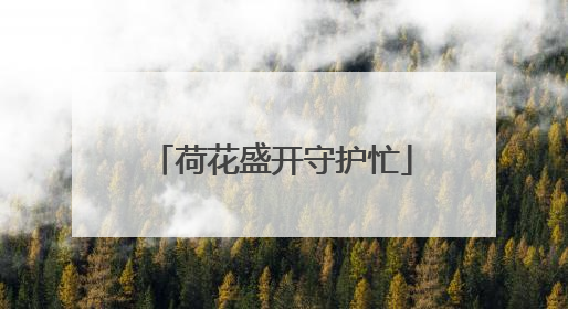 荷花盛开守护忙