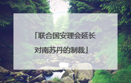 联合国安理会延长对南苏丹的制裁