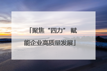 聚焦“四力” 赋能企业高质量发展