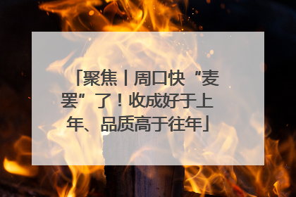 聚焦丨周口快“麦罢”了！收成好于上年、品质高于往年
