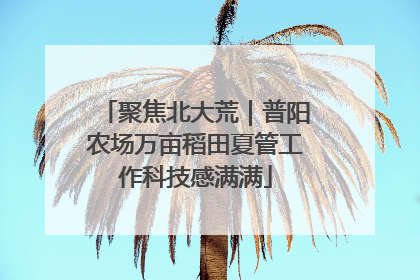 聚焦北大荒｜普阳农场万亩稻田夏管工作科技感满满