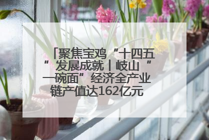 聚焦宝鸡“十四五”发展成就丨岐山“一碗面”经济全产业链产值达162亿元 入选全国典型县
