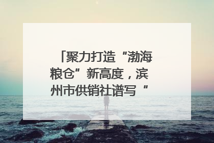 聚力打造“渤海粮仓”新高度，滨州市供销社谱写“三夏”丰收乐章
