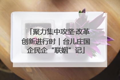 聚力集中攻坚·改革创新进行时｜台儿庄国企民企“联姻”记