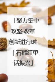 聚力集中攻坚·改革创新进行时｜石榴红里话振兴