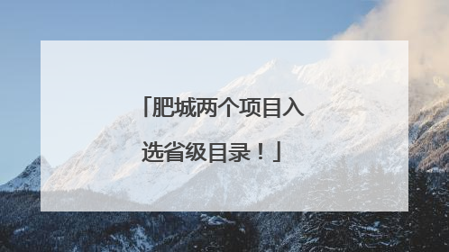 肥城两个项目入选省级目录！